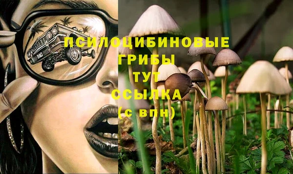 соль курить ск Алзамай