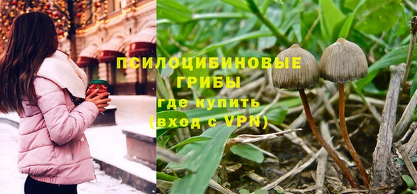 соль курить ск Алзамай