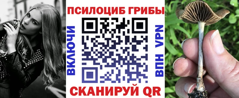 Галлюциногенные грибы MAGIC MUSHROOMS как найти закладки Апрелевка